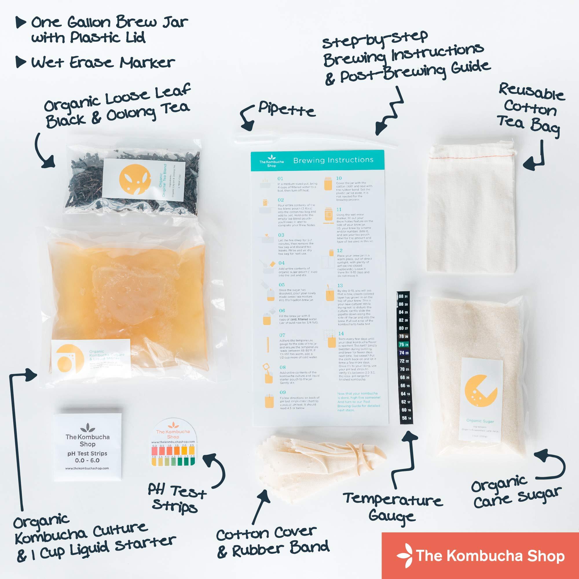 The Kombucha Shop The Kombucha Shop Organic Kombucha Starter Kit - 1 Gallon Brewing Kit Includes All The Essentials Required for Brewing Kombucha At Home