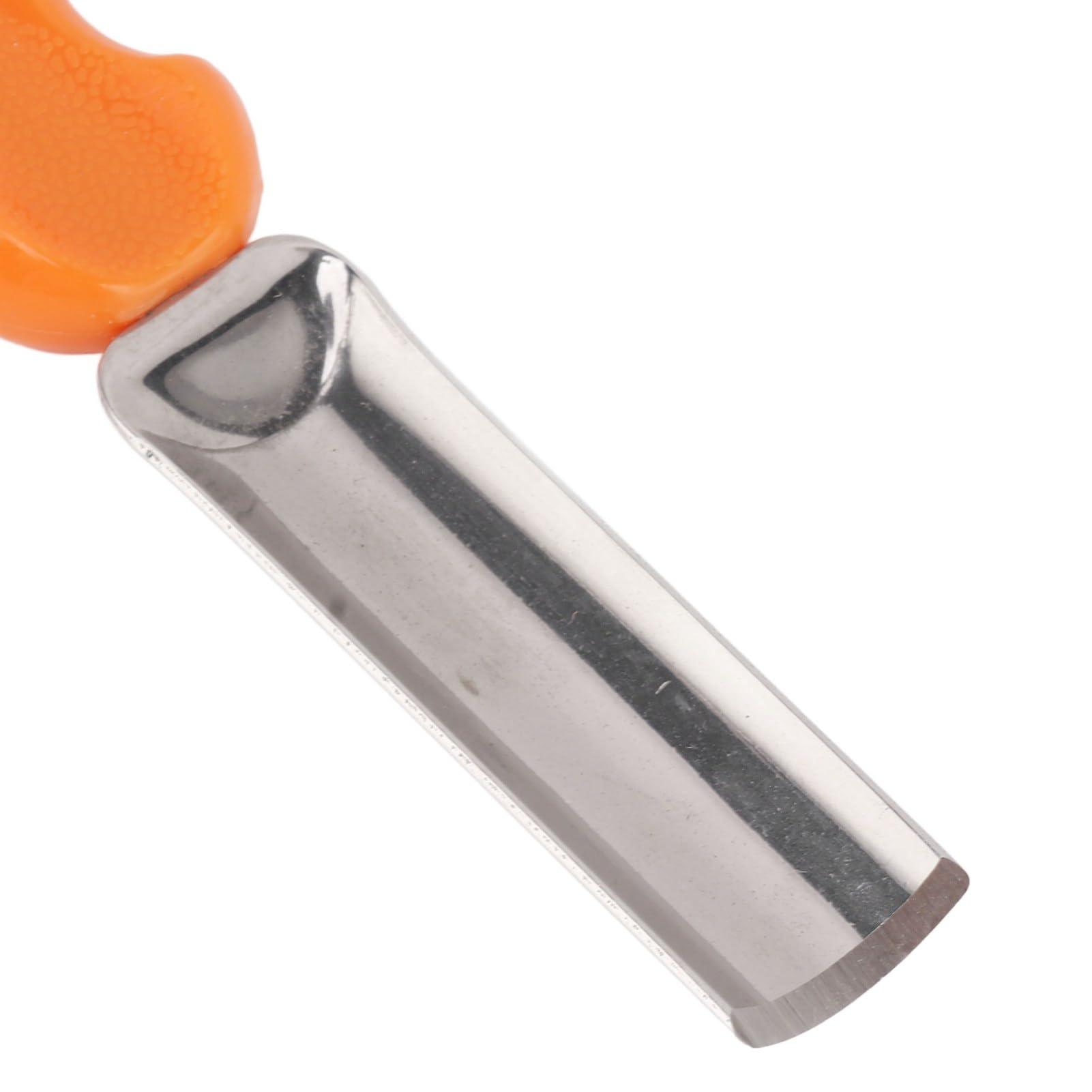 Posterazzi Posterazzi Ladies\' Man Kay Francis 1931 Photo Poster Print, (16 x 20), Varies