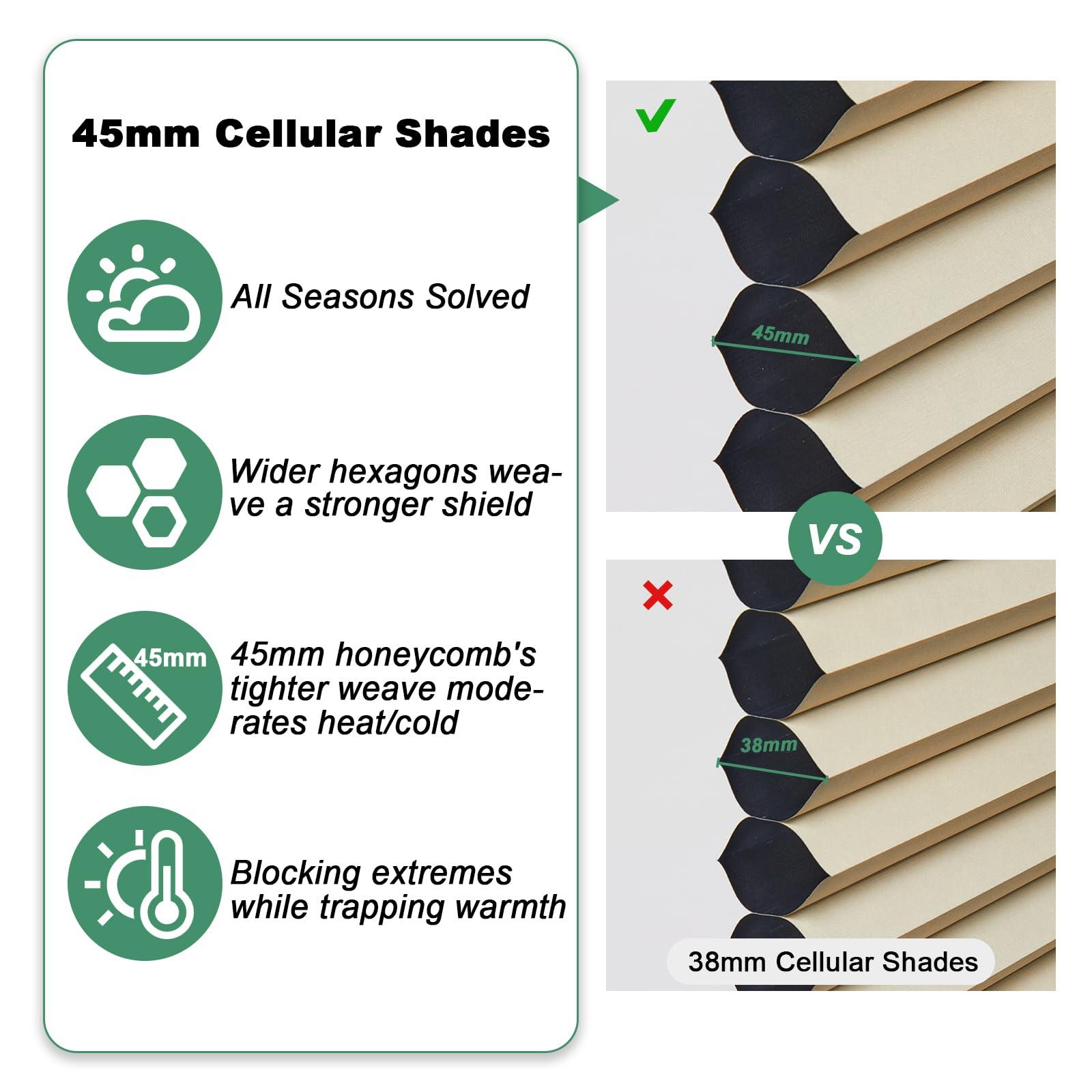 Tonature Toanture Custom Cordless Cellular Blinds, Easy to Install Blackout Honeycomb Window Blinds for Shades, Thermal Insulated 1.8" Single Cell Honeycomb Blinds for Bedroom, Office(Beige,77" W x 72" H)