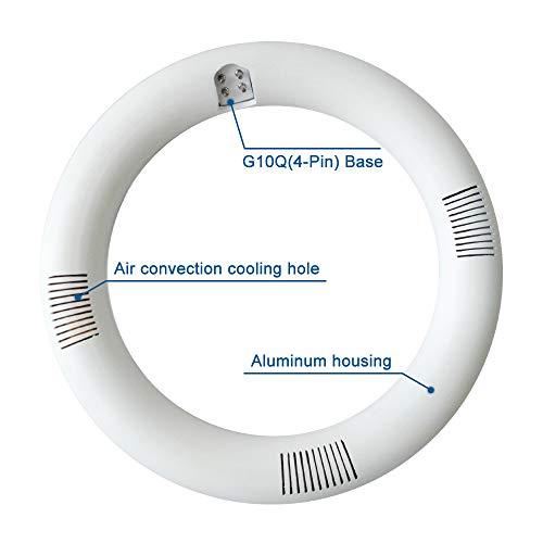 iledlight T9 LED Circline Light Bulb, 8 Inch 1600LM LED Circular Light, 13W Clear Cover 6000K Daylight Replacement for FC8T9/CW 22-Watt Fluorescent Circular Bulb(FC8T9/CW), Ballast Bypass Required