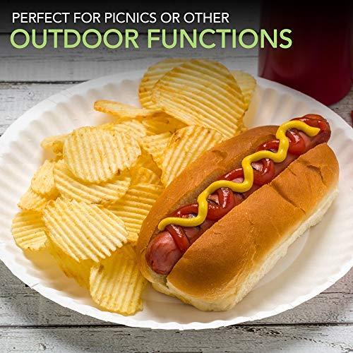 Stock Your Home Stock Your Home 9-Inch Paper Plates Uncoated, Everyday Disposable Plates 9\" Paper Plate Bulk, White, 300 Count