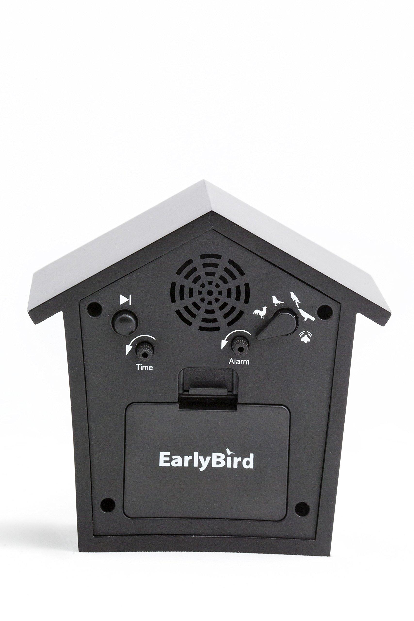KOOKOO KOOKOO EarlyBird Black, Birdsong Alarm Clock (Original Field Recordings) or a Three-Tone gong