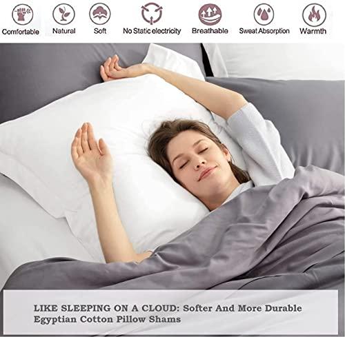 Crown Collection European Square Pillow Shams Set of 2 White 600 Thread Count 100% Natural Cotton pack of Two Euro 26 x 26 Pillow shams Cushion Cover, Cases Super Soft Decorative White, European 26''x26''