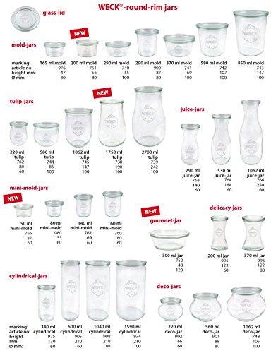 WECK Weck Jar 5 Pack Keep Fresh Plastic Lids, 5 Pack (Medium = 3 1/8", 80mm Opening) Fits Models 751, 900, 901, 908, 976, 996