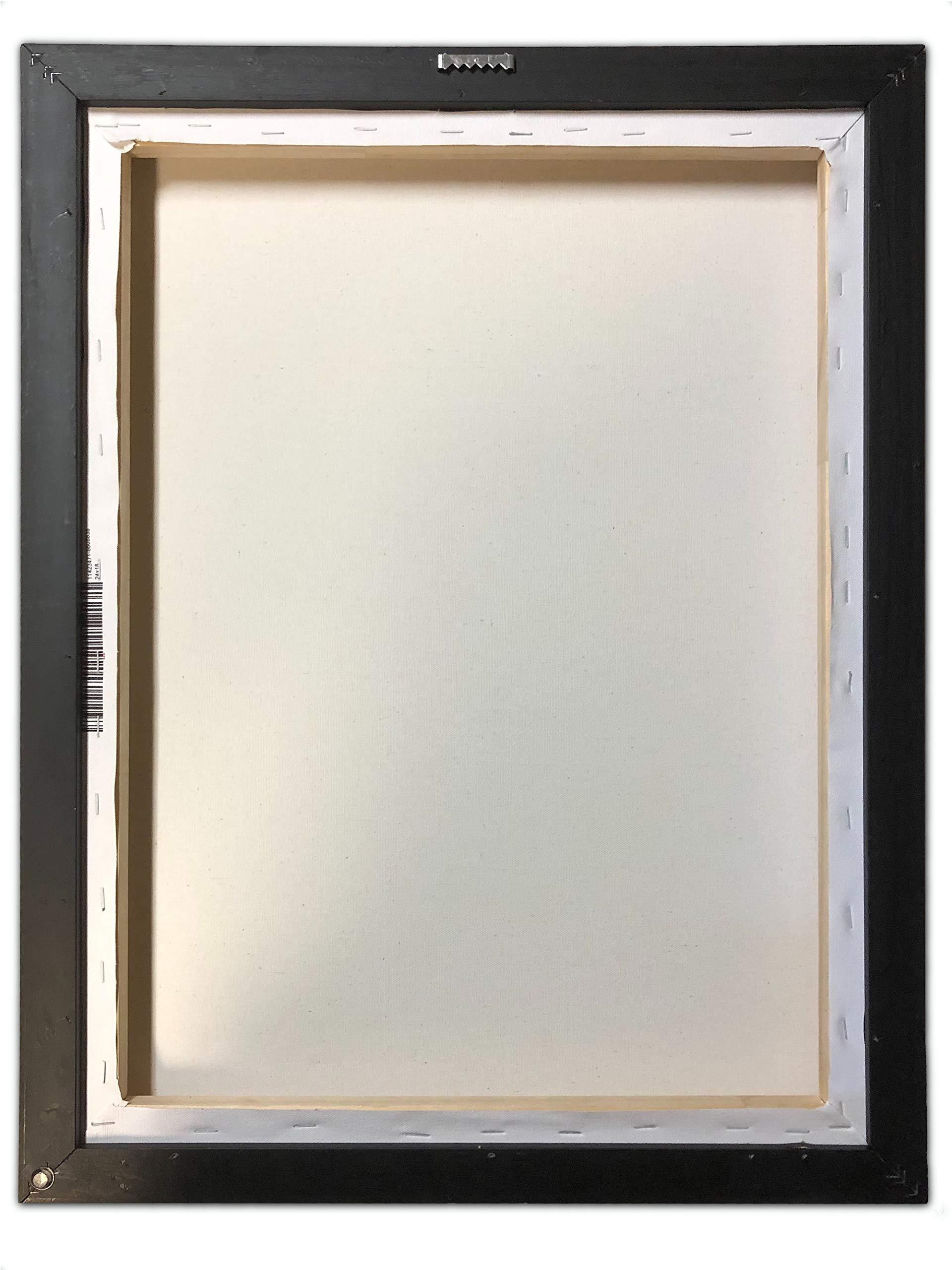 Northwest Art Mall Grayton Beach State Park Florida Beach Access Professionally Framed Giclee Archival Canvas Wall Art for Home & Office by Artist Evelyn Jenkins Drew 18\" x 24\"