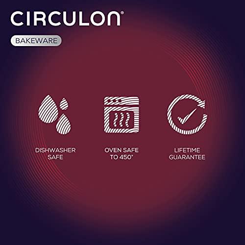 Circulon Circulon Nonstick Roasting Pan / Roaster with Rack - 17 Inch x 13 Inch, Gray