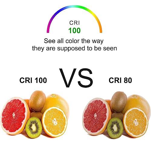 Vinaco Vinaco GU10 Bulb 25W 120V, 6 Pack Long Lifespan MR16 GU10 Halogen Bulb, GU10 Dimmable Warm White 2800K for NP5 GU10 120V 25W Bulb Candle Warmer, GU10+C 120V 25W Bulb for Track Light Bulbs, Hood Bulbs