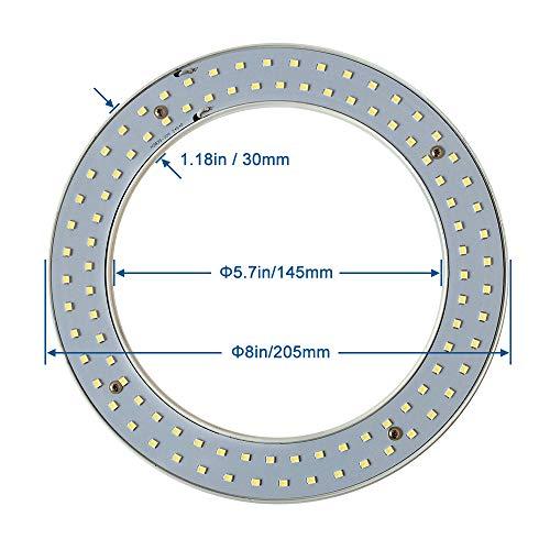 iledlight T9 LED Circline Light Bulb, 8 Inch 1600LM LED Circular Light, 13W Clear Cover 6000K Daylight Replacement for FC8T9/CW 22-Watt Fluorescent Circular Bulb(FC8T9/CW), Ballast Bypass Required