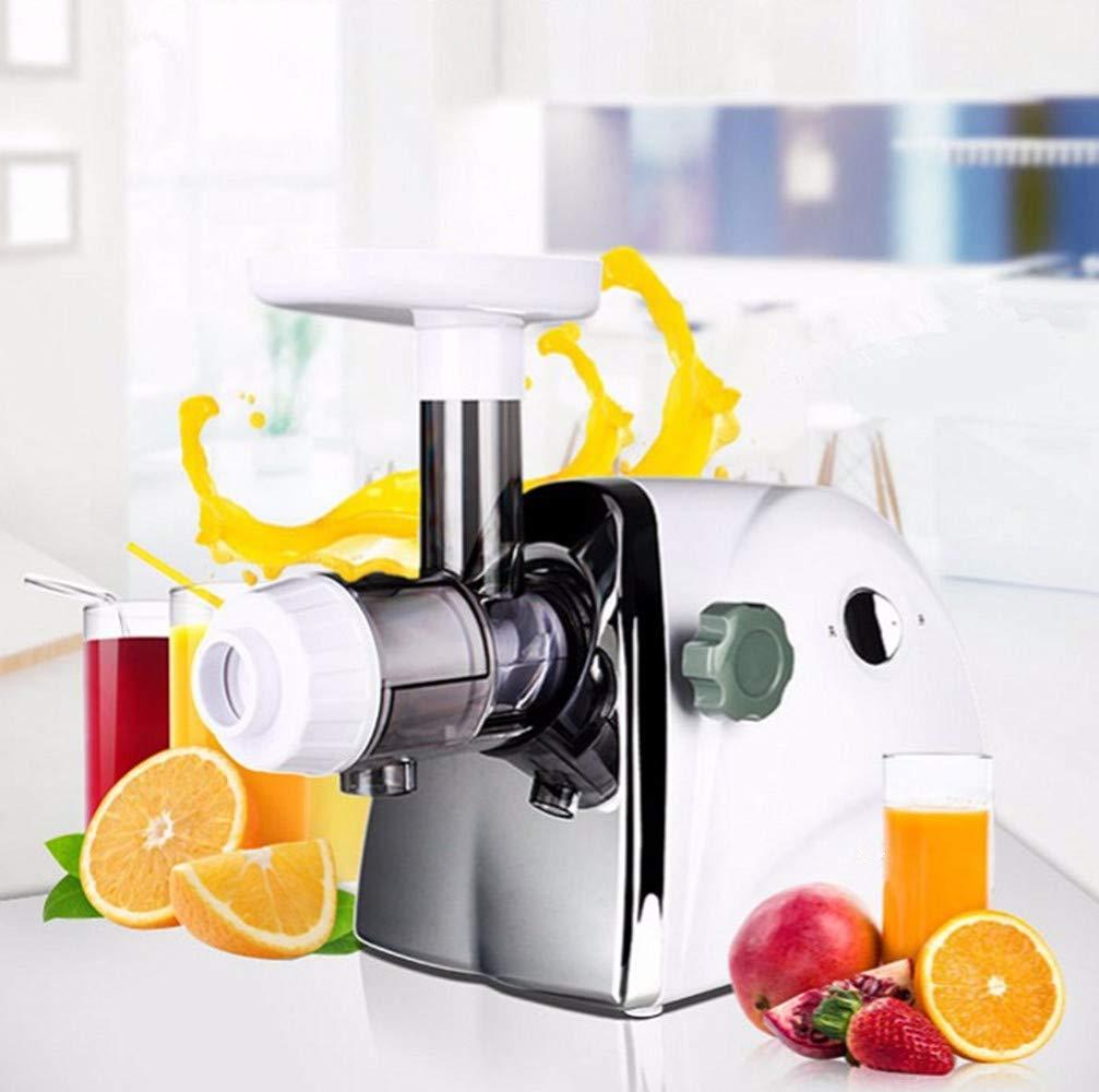 Normal Household Wheatgrass Juicer Multifunctional Electric Fruit Juicers Orange Apple Slow Masticating Juice Extractor Machine Original Healthy Juice Cold Press Juicer Maker (White)
