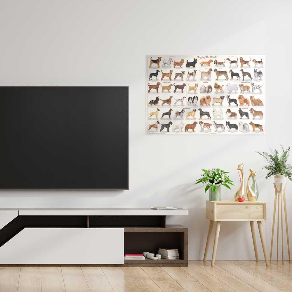 Feenix Publishing (24x36) Laminated Dogs of the World Educational Animal Chart Poster