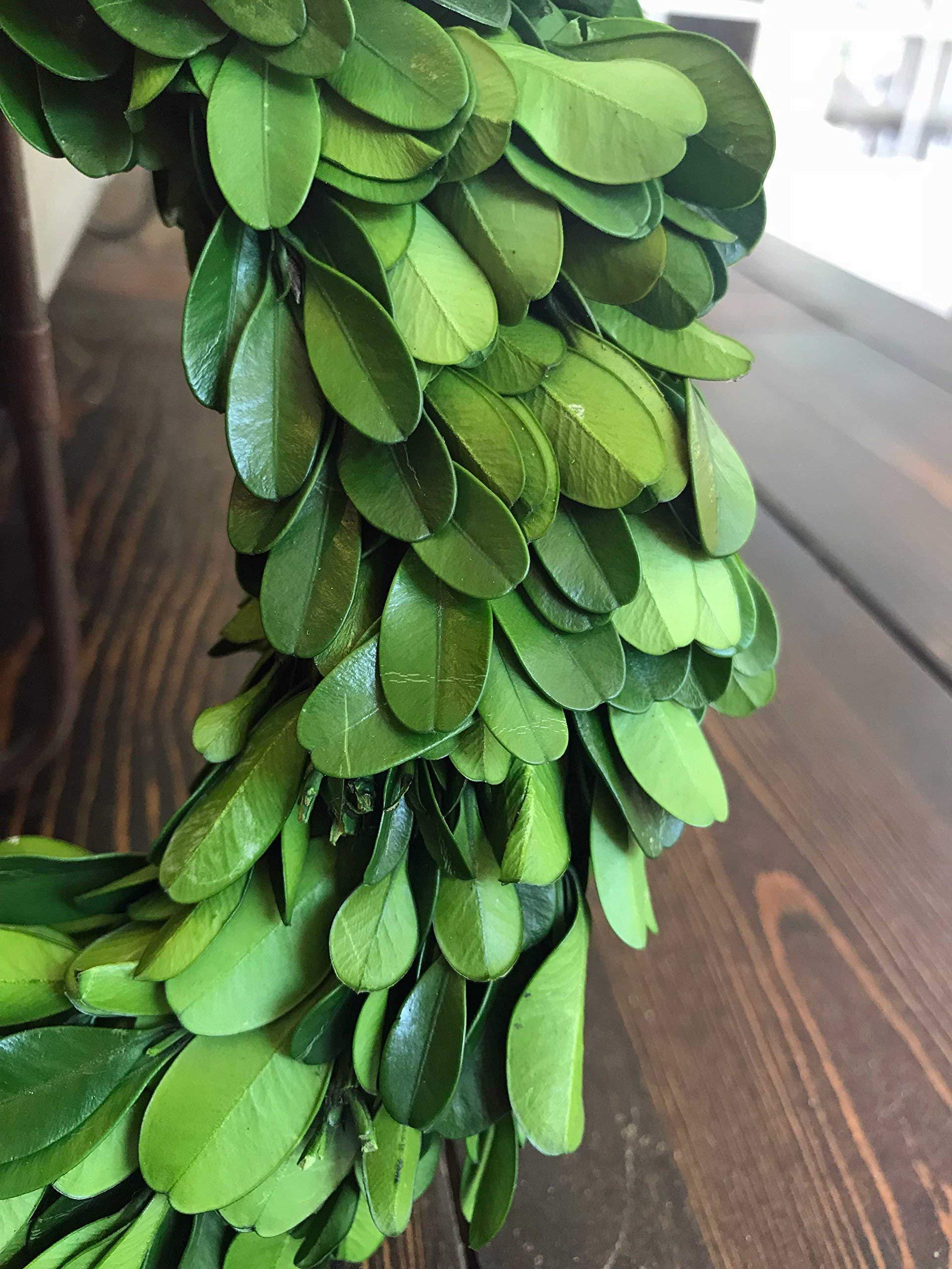 Wreath and Vine 10 Inch Small Mini Preserved Boxwood Wreath Candle Ring Holder, Decorative for Christmas Year Round, Spring, Summer, Thanksgiving, Rustic Farmhouse Holiday Home Decor, Handmade, Green