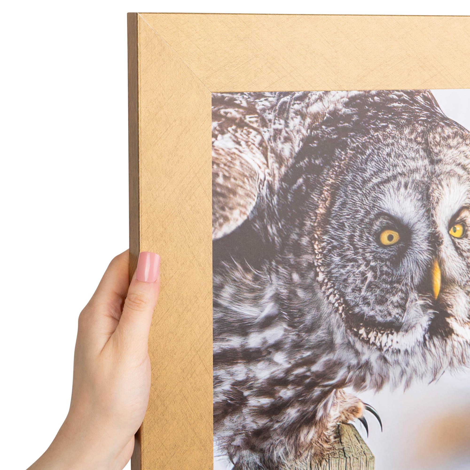 ArtToFrames ArtToFrames 23x30 inch Metallic Gold Picture Frame, 2WOM0066-20277-YGLD-23x30