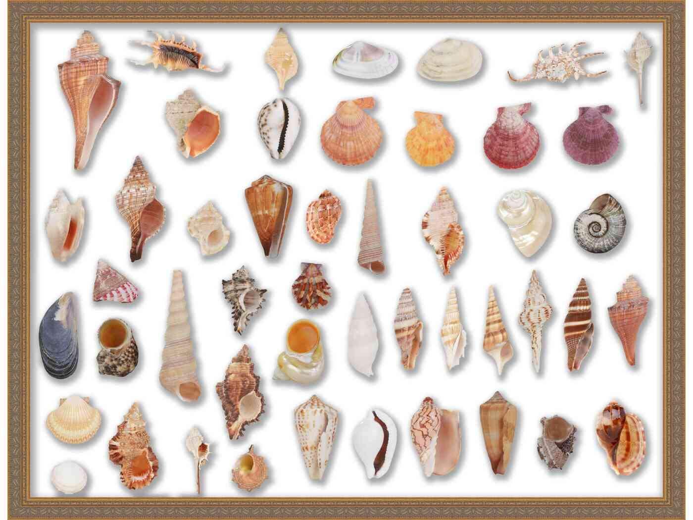 Poster Palooza 14x14 Gold Shadowbox Frame - Shadow Box Frame Interior Size 14x14 by 2.5 Inches Deep - Gold Frame is Made to Display Items Up to 2.5 Inches Deep! Includes Shatter Resistant Acrylic, Backing, Hardware