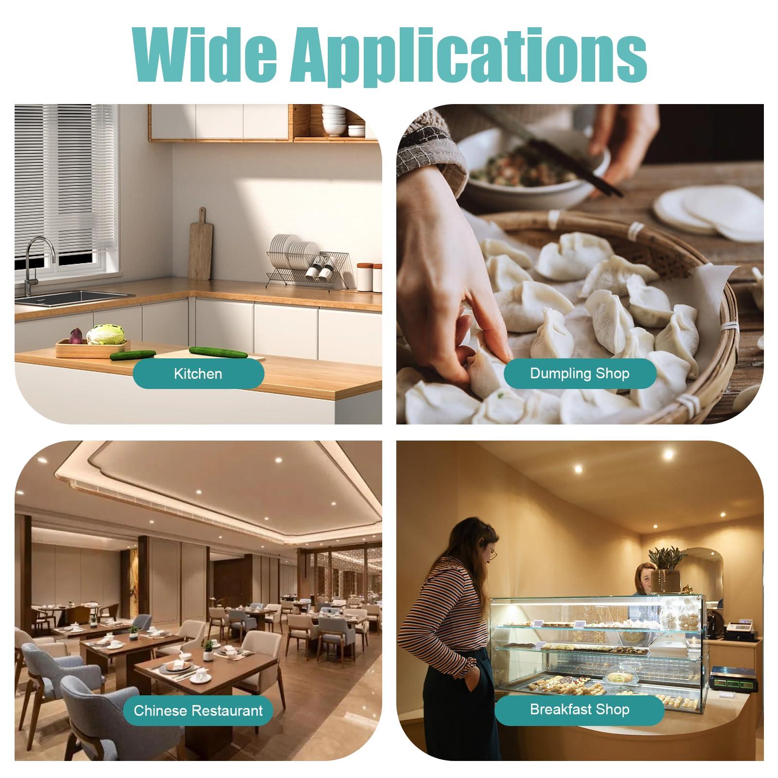 Gdrasuya10 Commercial Dumpling Skin Machine, 110V 140W Automatic Electric Dumpling Wrapper Maker W/ 8 cm 3.15 inch Round Mold Dough Processing Machine 60 Pieces/Min for Commercial Household Restaurant