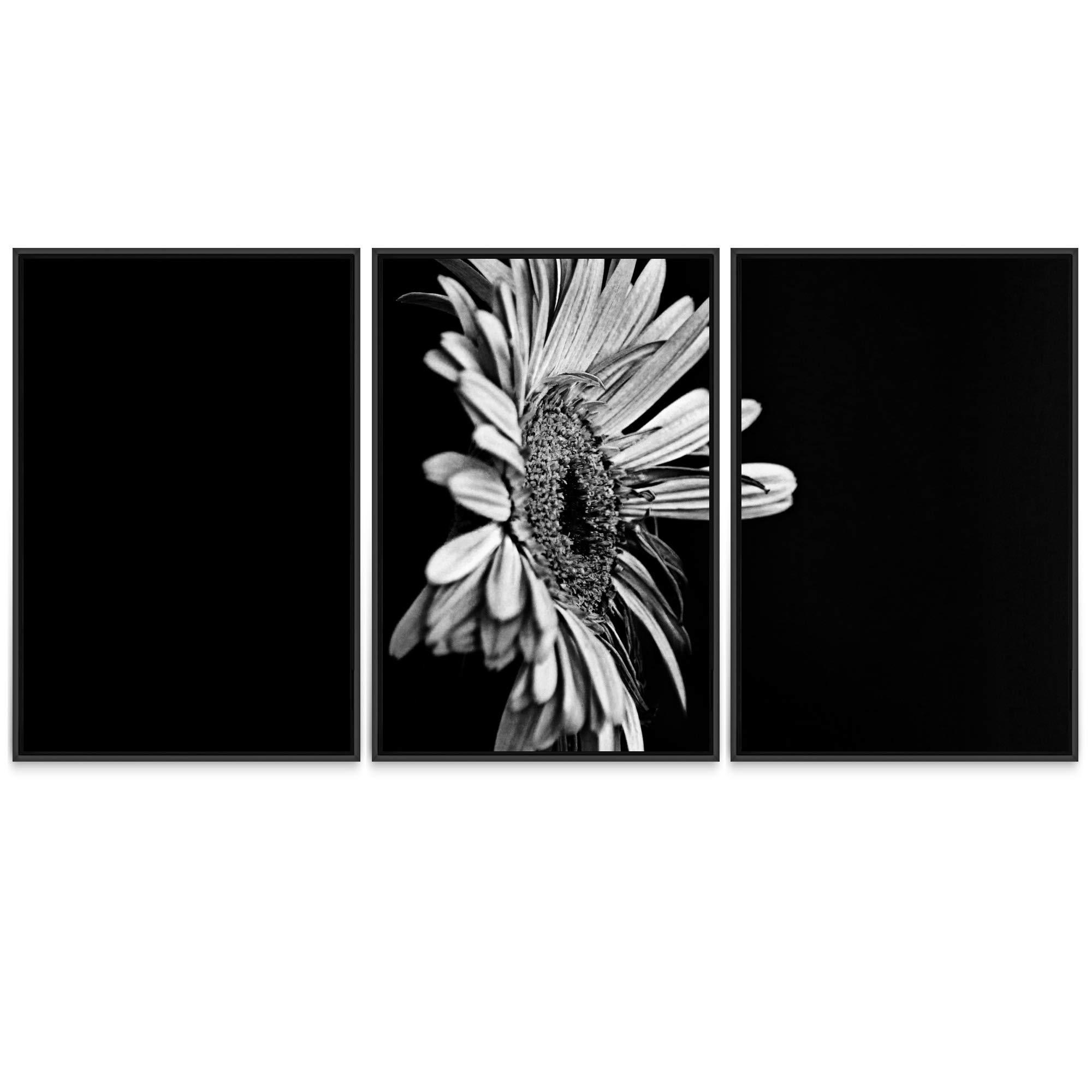 SIGNWIN SIGNWIN 3 Piece Framed Canvas Wall Art Black and White Botanical Canvas Prints Home Artwork Decoration for Living Room,Bedroom - 24\"x36\"x3 Panels