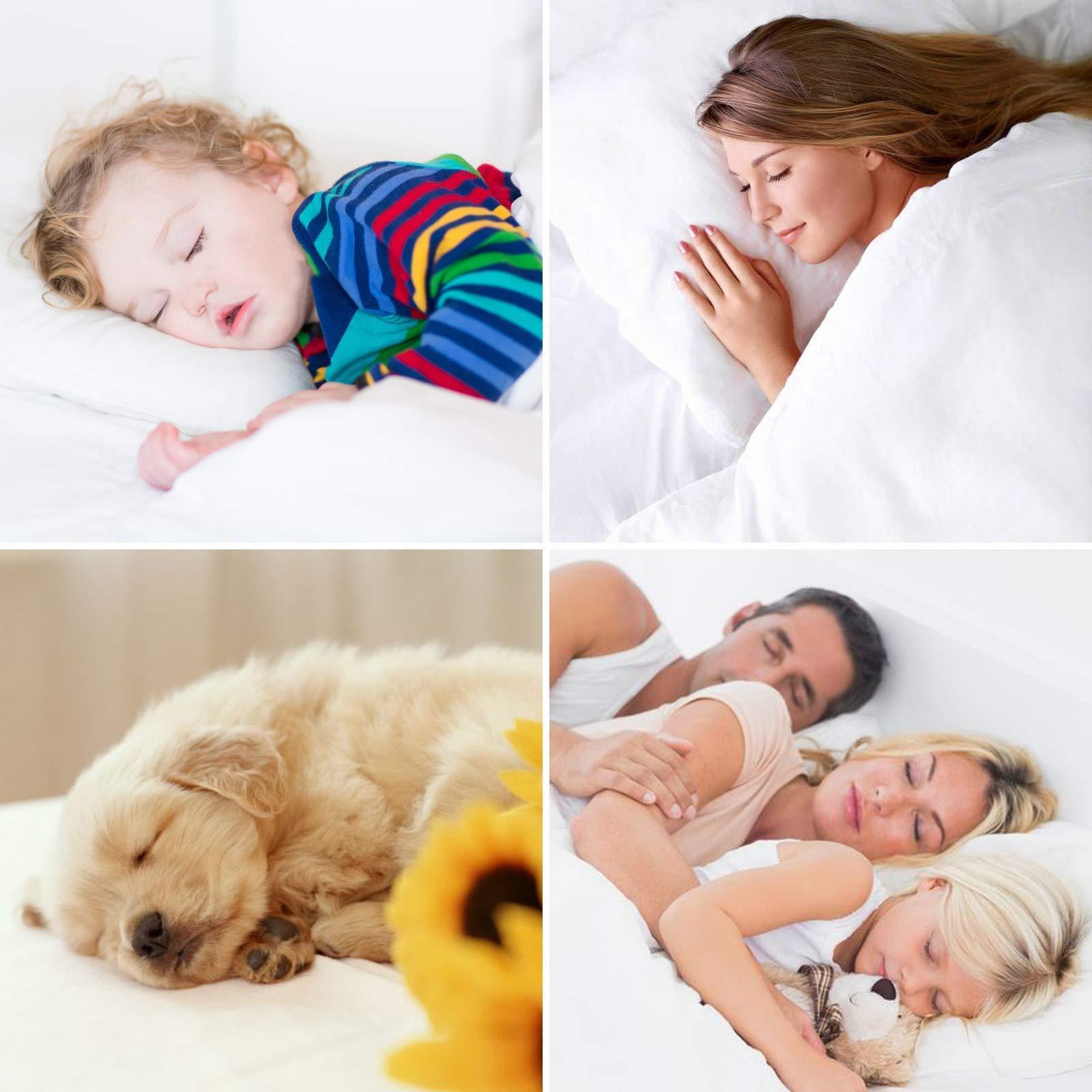 Fashion Passion 1200-TC Ultra-Soft Fabric 100% Pima Cotton 4-PCs Sheet Set. Full Size Fit 11-15\" Inches Deep Pocket (Stripe, Black).