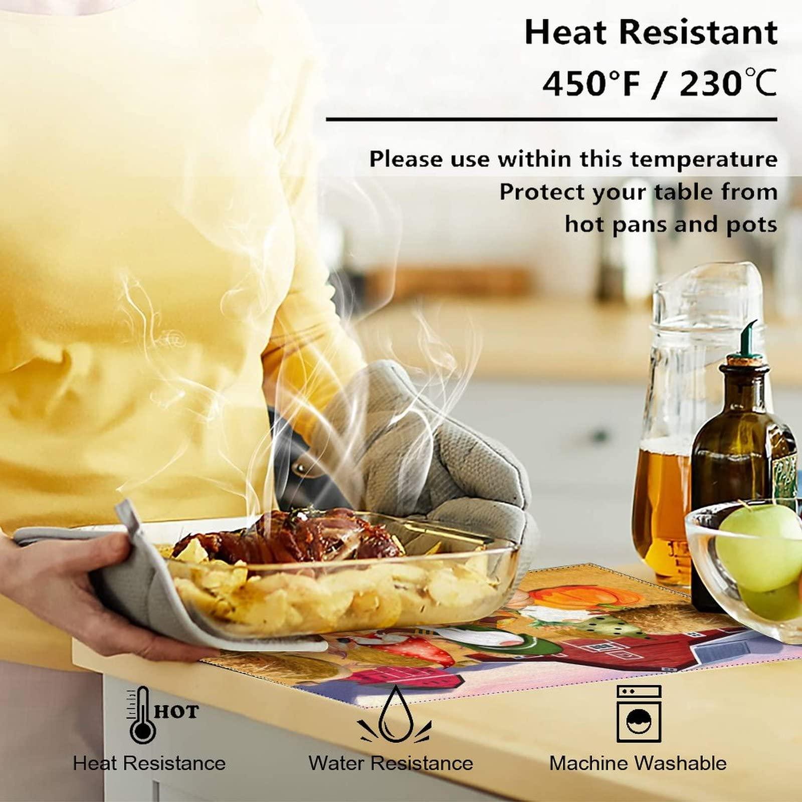 Alioyoit Table Place Mats Fall Farm Pumpkins Harvest Gnomes Chic Table Mats Reversible Reversible Dining Table Placemats Fabric Placemats Decor for Indoor Outdoor Patio Thanksgiving Day Set of 6