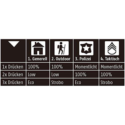 MagLite MagLite ML300L LED 3-Cell D Display Box, Black