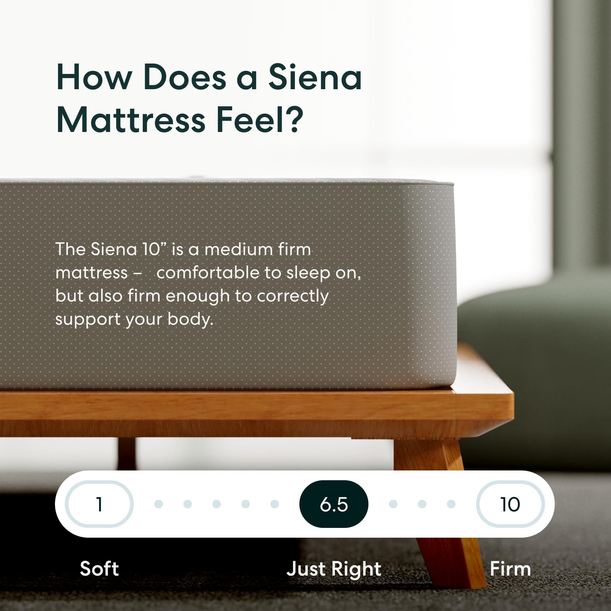 Siena Siena Twin XL 10 Mattress with Bed Frame - Grey - Medium Firm Gel Memory Foam - Premium Pressure Relieving Layers - 180-Night Trial - 10 Year Mattress Warranty - Easy Assembly - 8 Inch Legs