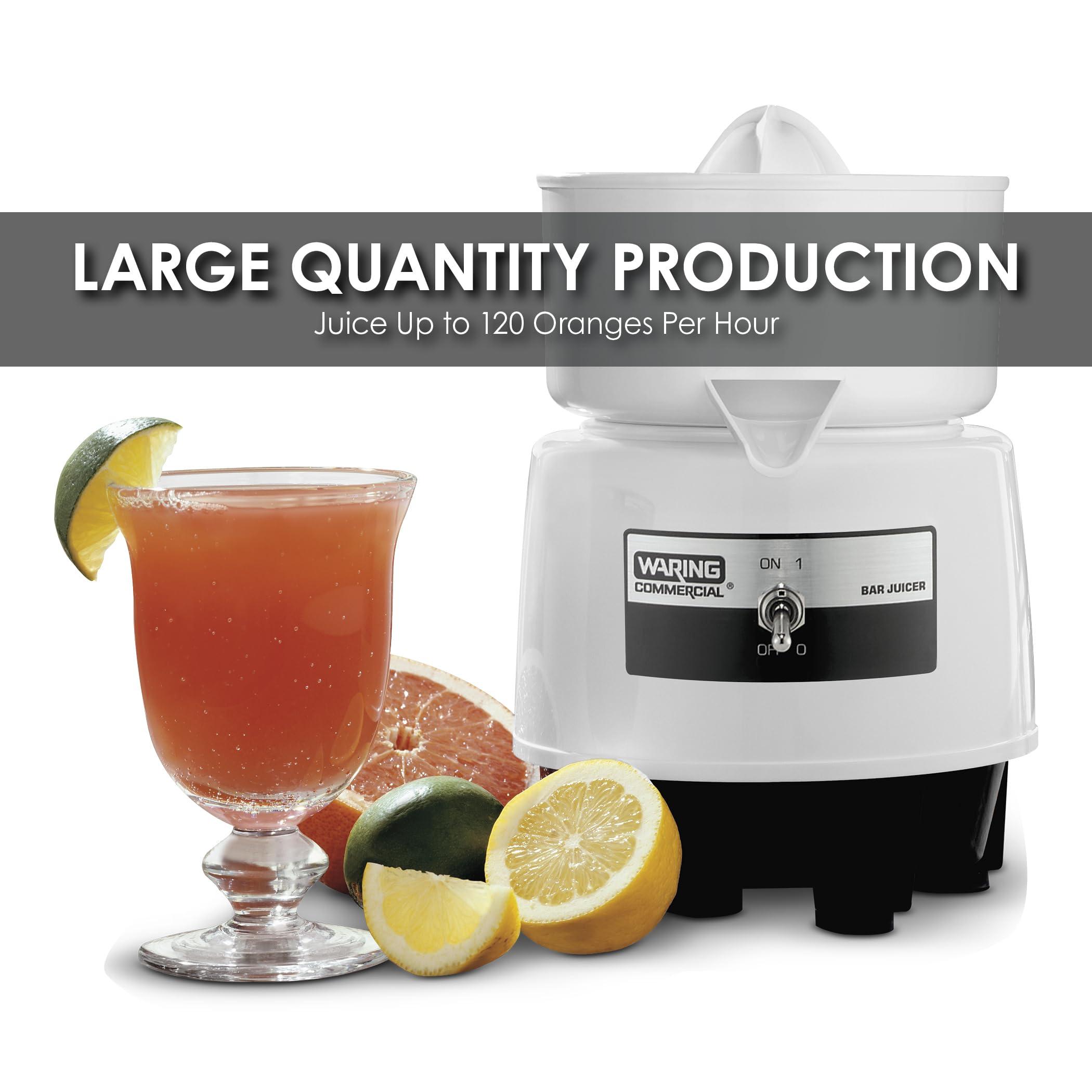 Waring Waring Commercial BJ120C Compact Citrus Juicer, 120V, 5-15 Phase Plug,White, 34 Ounce