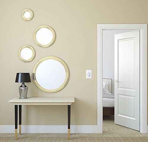 Intermatic Intermatic FD60MWC 60-Minute Spring-Wound In-Wall Countdown Timer Switch for Auto-Off control of Fans and Lights, White