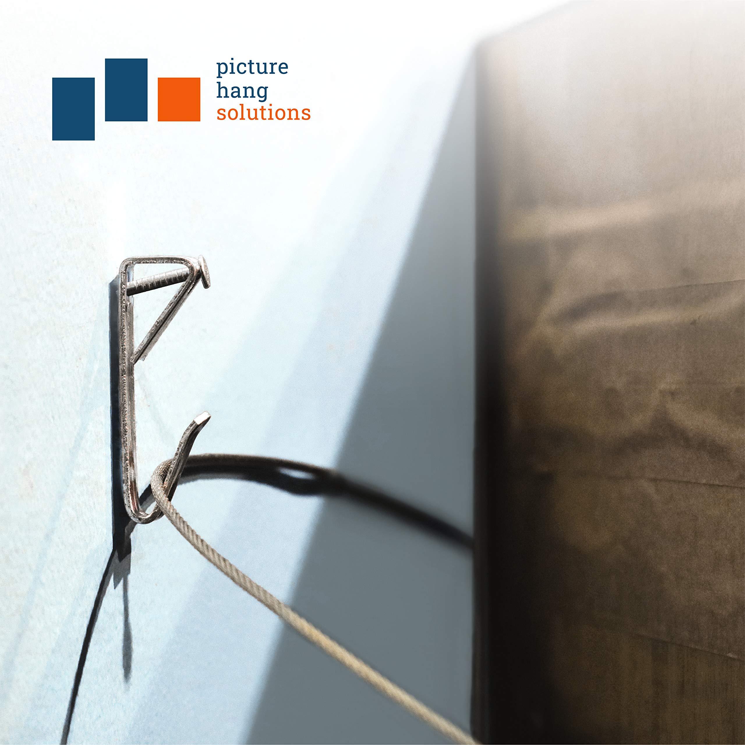 Picture Hang Solutions 100 lb Picture Hangers for Drywall - Heavy Duty Mirror and Picture Hanger Hooks with Nails - Frame Hanging Hardware 25 Pack