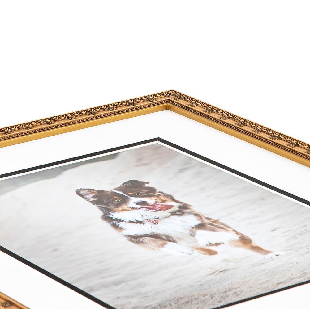 ArtToFrames ArtToFrames 16x20 inch Gold with Star Compo Picture Frame with 2 Inch Single Cognac Mat, SingleMat-D9329-16x20-766