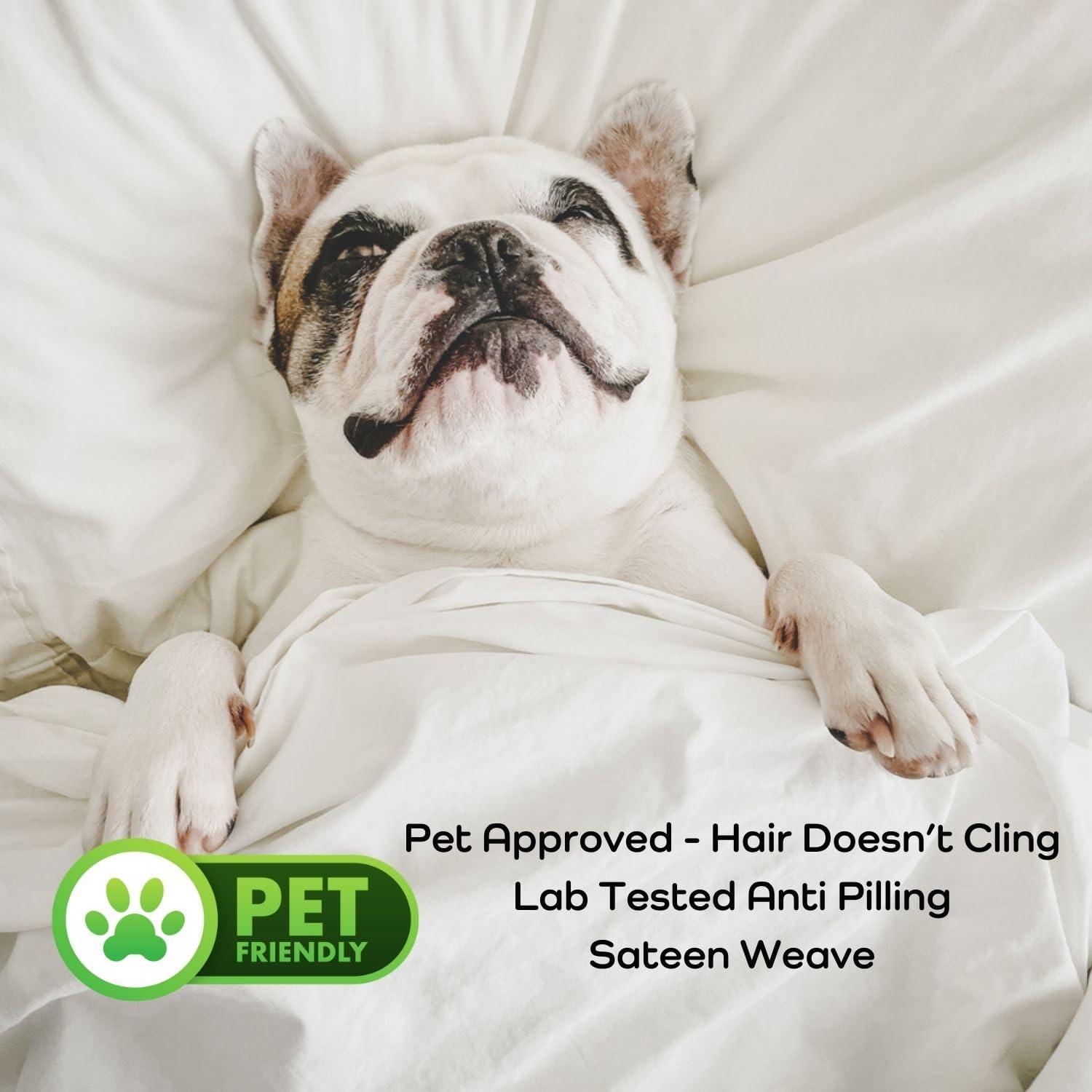 Bamtek Bamtek 100% Viscose from Bamboo Sheets California King Size, Super Soft Bedding Set, 4PC Cooling Sheets for Hot Sleepers, Vegan Silk Moisture Wicking, Organically Grown Bedsheet, Grey Mist (72x84x17)