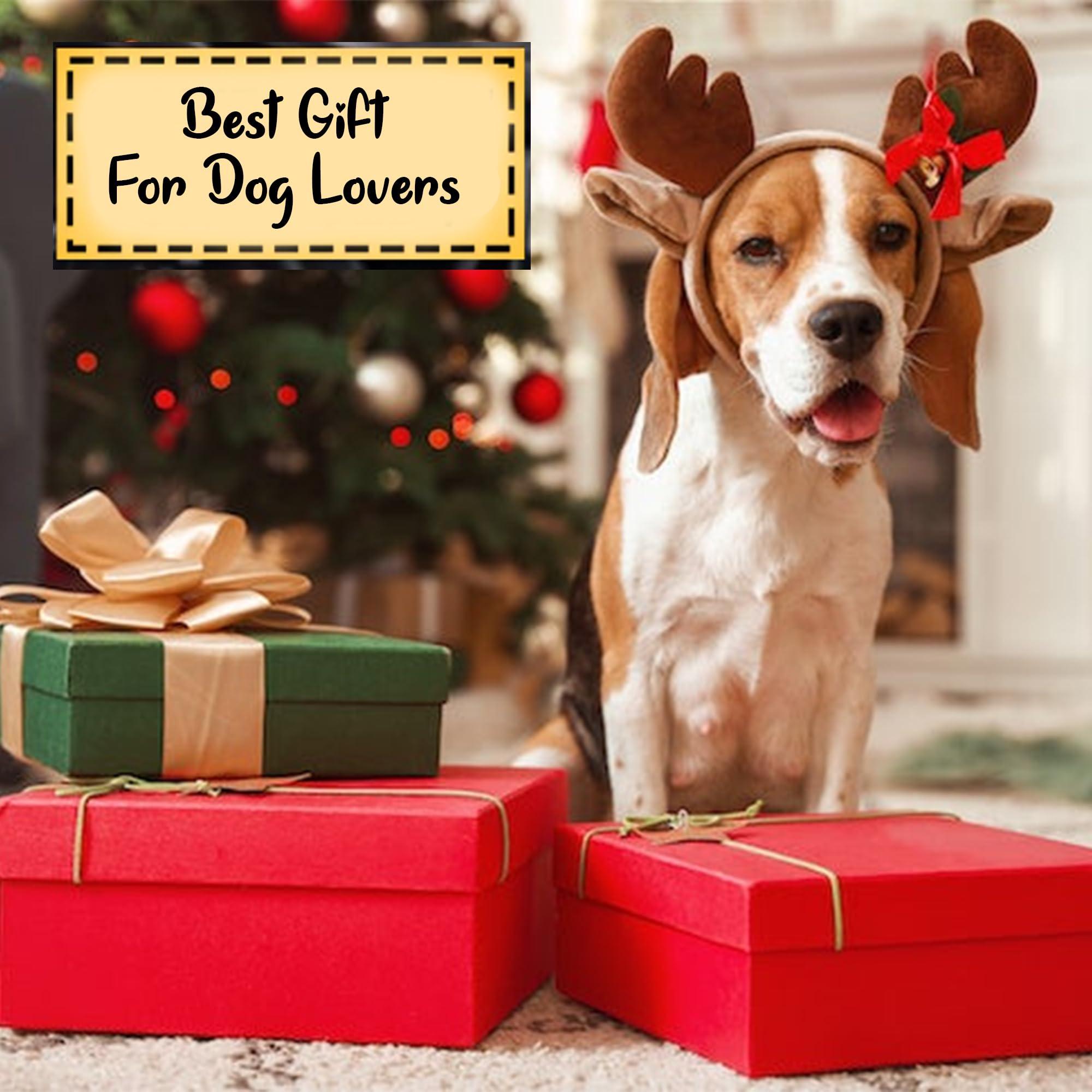 FAMITRENDZ FAMITRENDZ Personalized Border Collie Dog On Red Truck Ornament, Custom 2D Flat Shape Border Collie Dog Name Ornament, Dog Christmas Ornament, Dog Lover Gift, Christmas Tree Decor