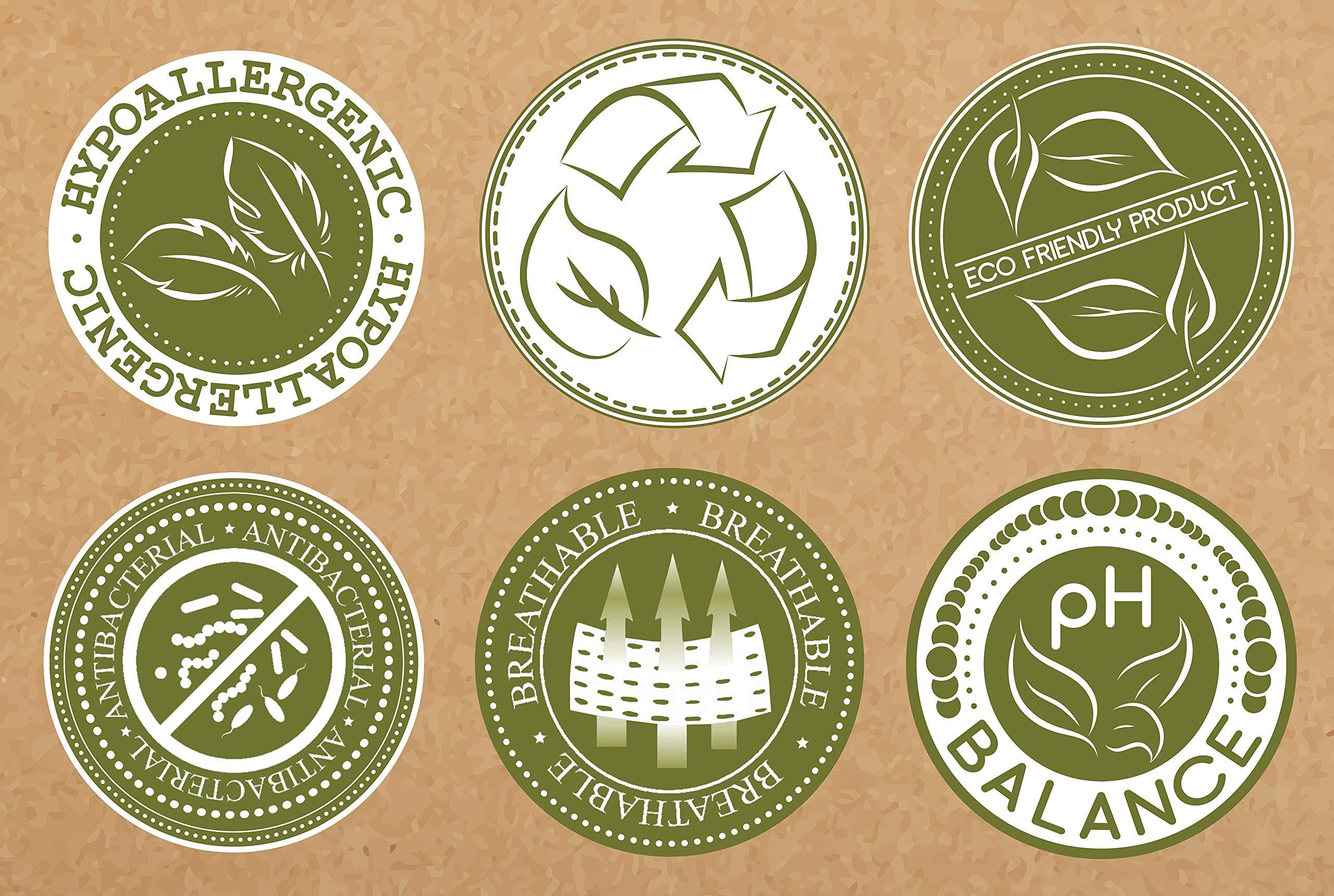 Elegant Comfort Elegant Comfort 2-Pack Luxury Flat Sheet Premium Hotel Quality Wrinkle and Fade Resistant 1500 Thread Count Egyptian Quality 2-Piece Bed Top Sheet, King/California King, Cream