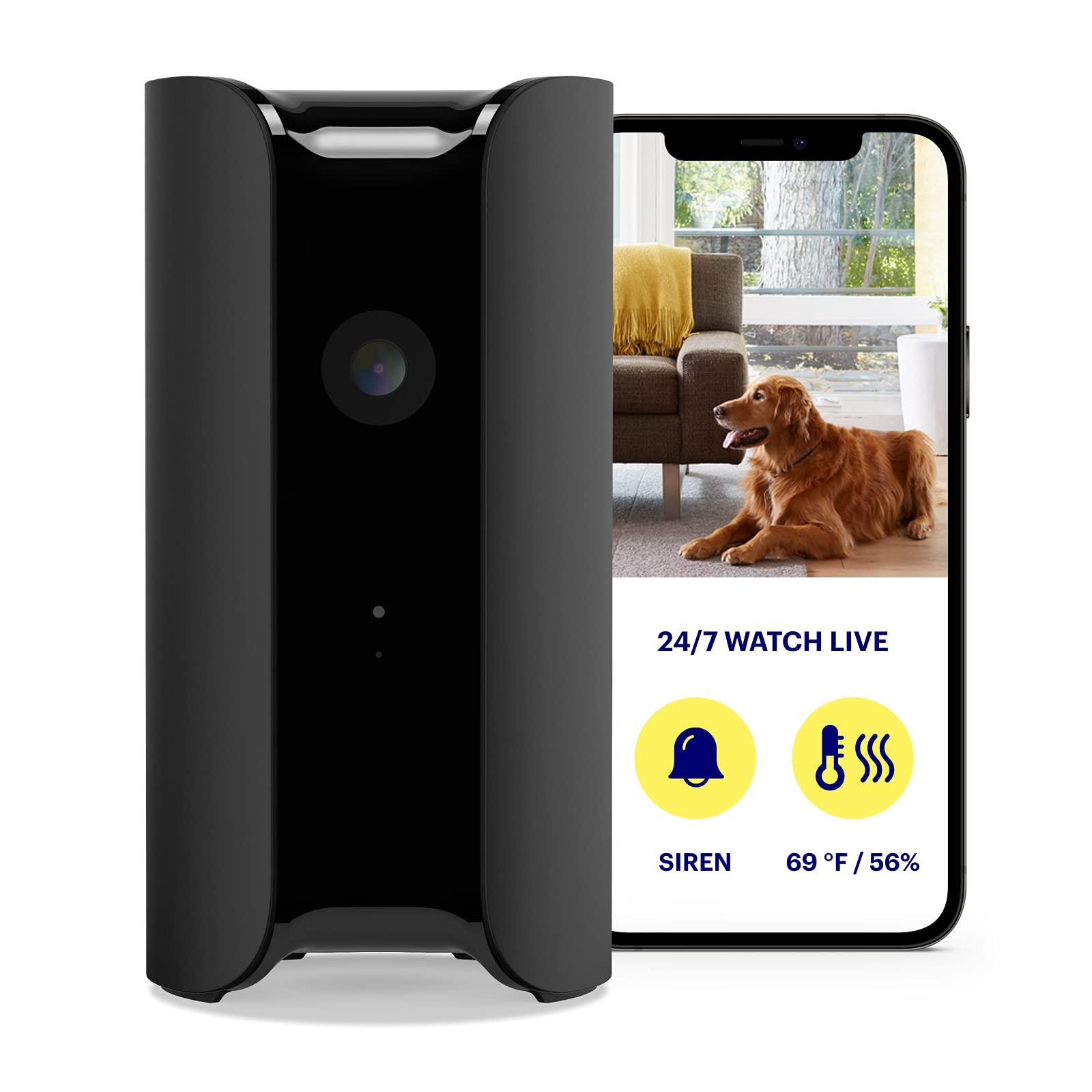 Canary Canary Pro Indoor Home Security Camera 1080p HD WiFi IP | 24/7 Watch Live Video, Siren, Climate Monitor, Motion Alerts, Two-Way Talk, Night Vision, 10x Zoom, Private Mode, Works with Alexa and More