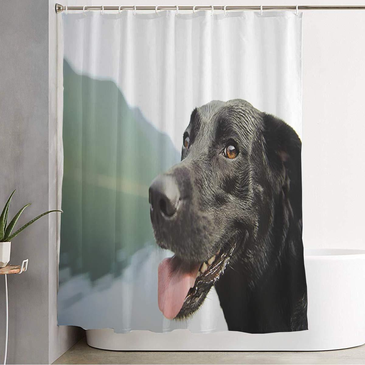 Staromil Bathroom Fabric Shower Curtain Labrador Black Lab Smiling Camera Animals Wildlife Water Parks Retriever Happy Indian Vancouver Curtains Durable Waterproof Bath Curtain Set with Hooks 60\" x 72\"