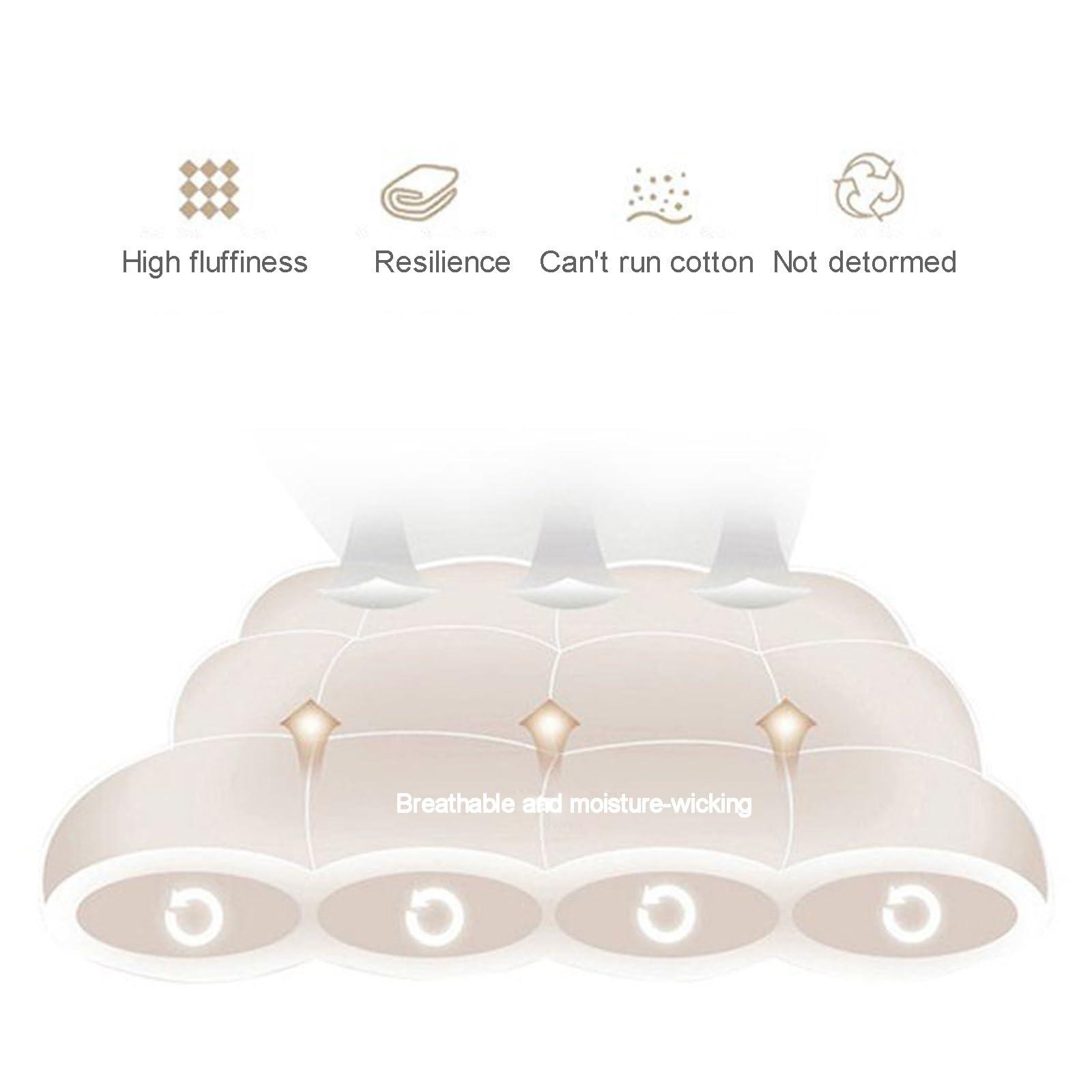 LXBche LXBche Tatami Mat Sleeping Pad Japanese Floor Mattress Soft Skin Friendly Futon Mattress Foldable Thai Massage Bed Mattresses Non-Slip and Breathable Camping Mattress for Guest Travel (Color : 1, Si