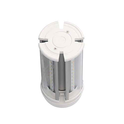 Feit Electric Feit Electric C4000/5K/LED LED Light Bulb, Yard, Yard Light