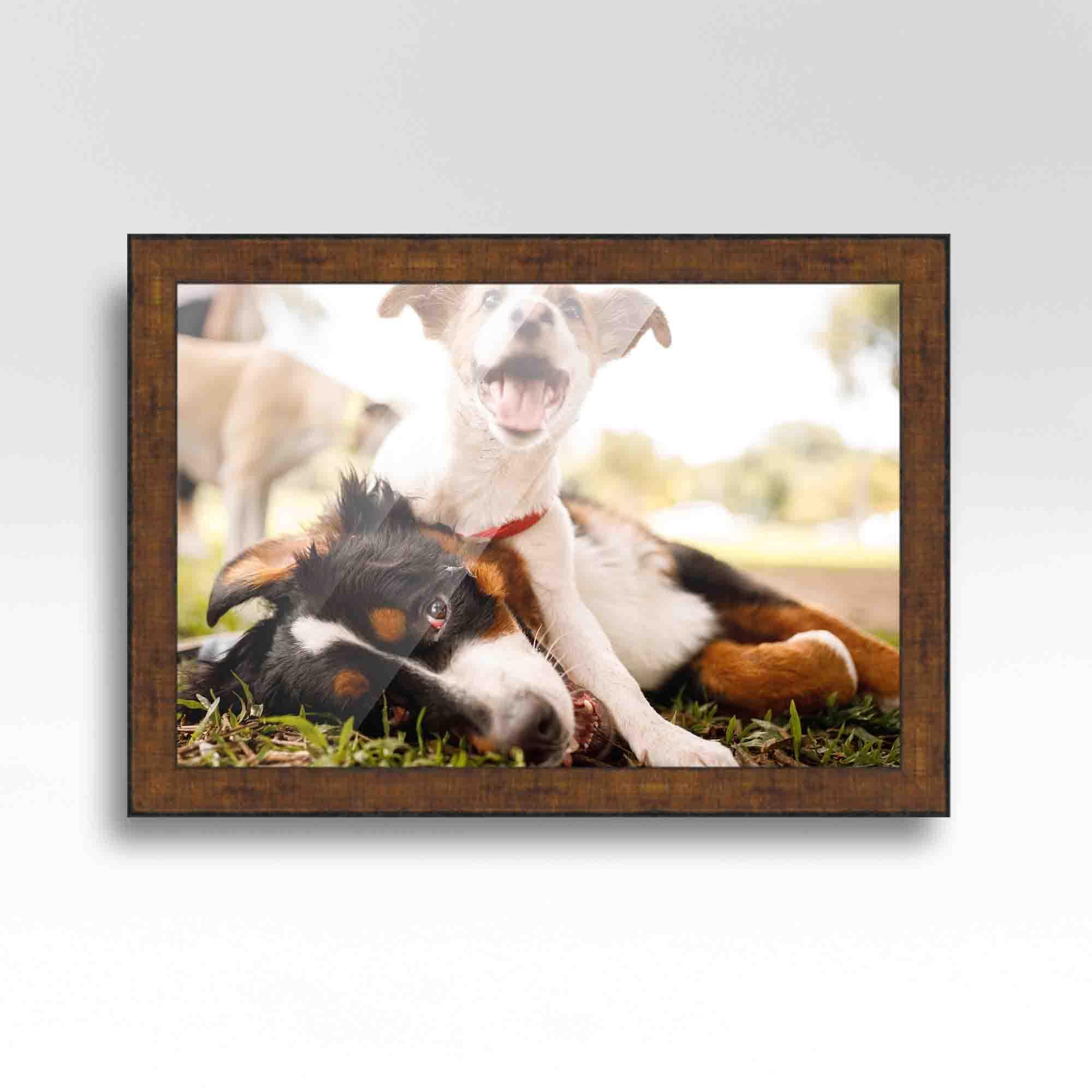 CustomPictureFrames.com 16x9 Frame Gold Brown Solid Wood Picture Frame Width 1.25 Inches | Interior Frame Depth 0.5 Inches | Complete with UV Acrylic, Foam Board Backing & Hanging Hardware