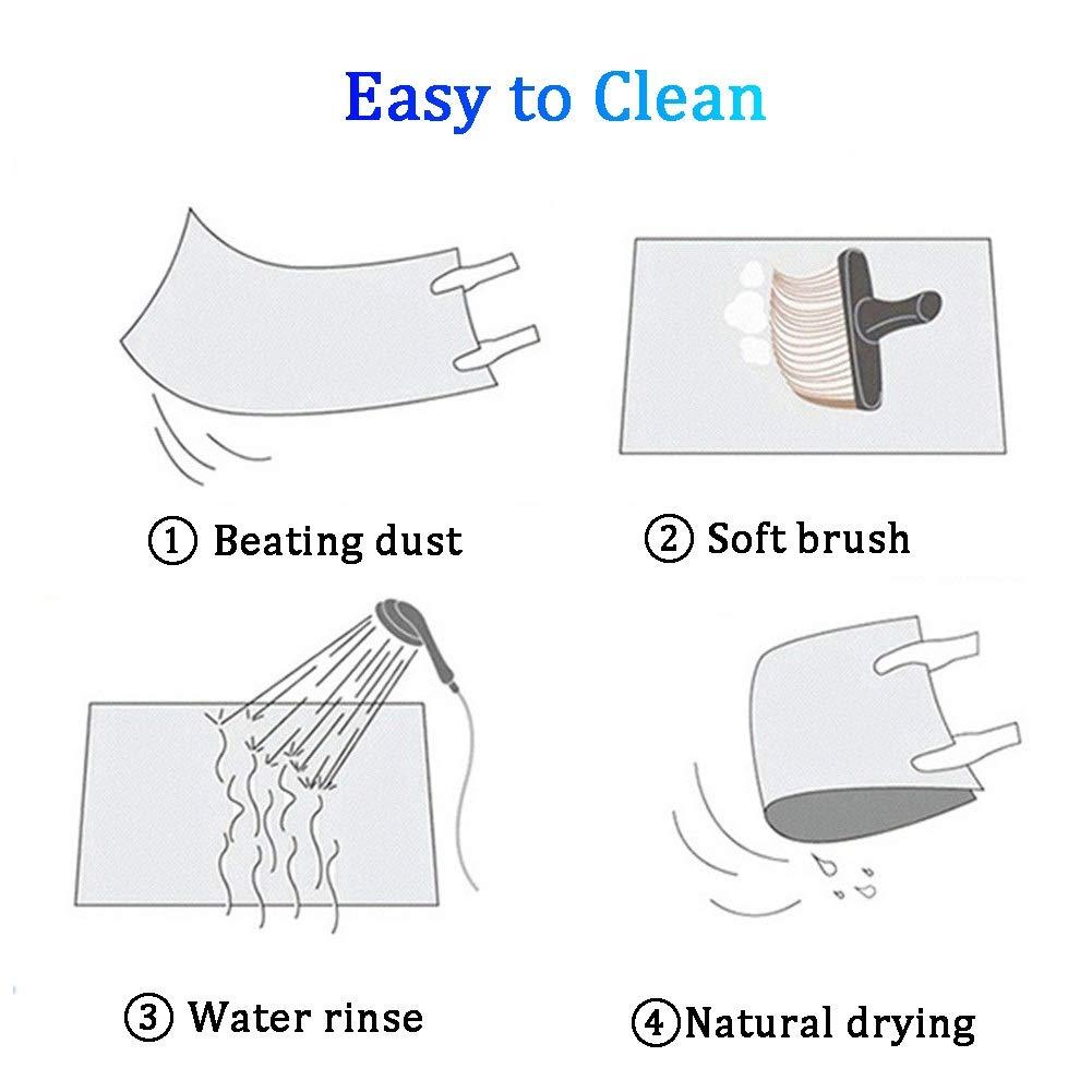 SLLSHG Runner Rug, Entrance Mat for Hallway, Hallway Runner, Long Entrance Mat, Non-Skid Carpets for Doorway Kitchen/Living Room, 60/80/90/100/110/120/130 cm Width ( Size : 120X250cm )