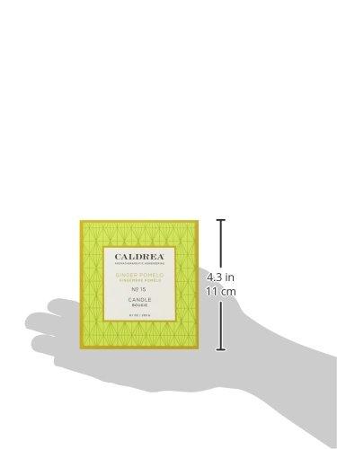 Caldrea Caldrea Scented Candle, Made with Essential Oils and Other Thoughtfully Chosen Ingredients, 45 Hour Burn Time, Ginger Pomelo Scent, 8.1 oz