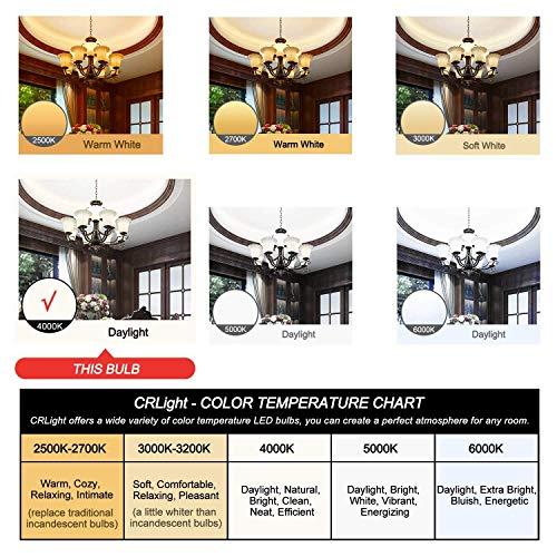 CRLight CRLight 2W 4000K LED Candelabra Bulb Daylight White 30W Equivalent 300LM, E12 Dimmable LED Chandelier Light Bulbs, Antique Style B10 Clear Glass Candle Torpedo Tip, 10 Pack