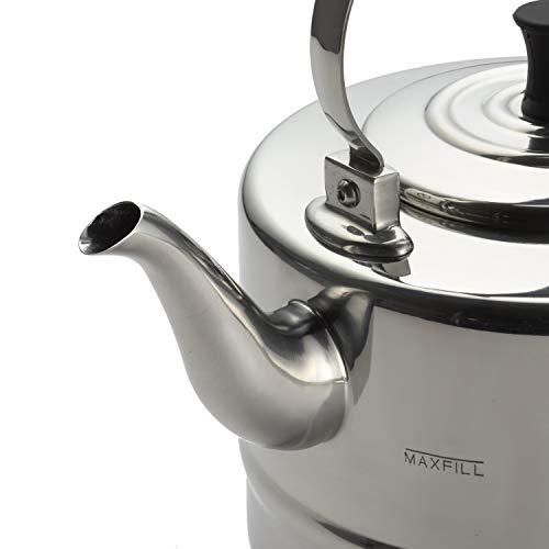 BonJour BonJour Tea Stainless Steel and Copper-Base Gooseneck Teapot/Teakettle/Stovetop Kettle, 2 Quart, Silver