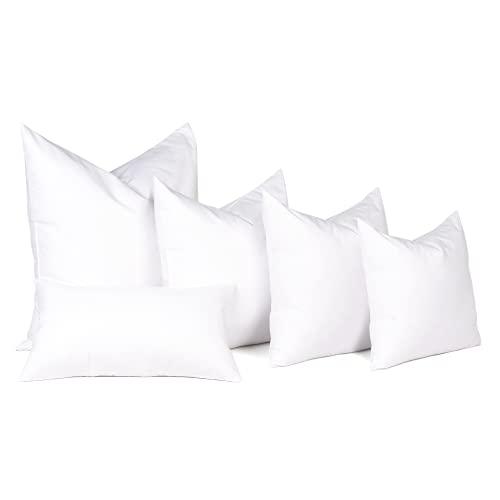 puredown puredown Feather Throw Pillow Inserts 22 x 22 (Pack of 2, White), Big Throw Pillows for Floor, Couch, Bed, Machine Washable