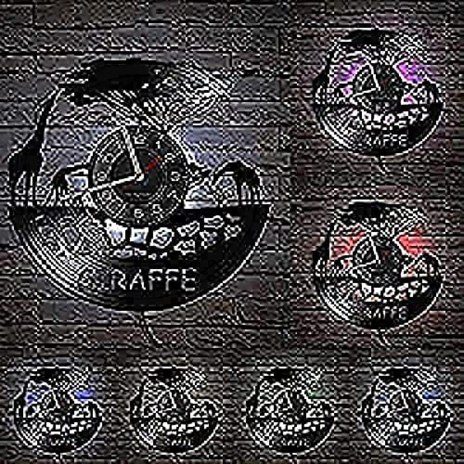 LKCLOCK Wall Clock Battery Operated Silent Non-Ticking 12 Inch Vinyl Record Art Zoo Vinyl Record Nursery Crafts Clock