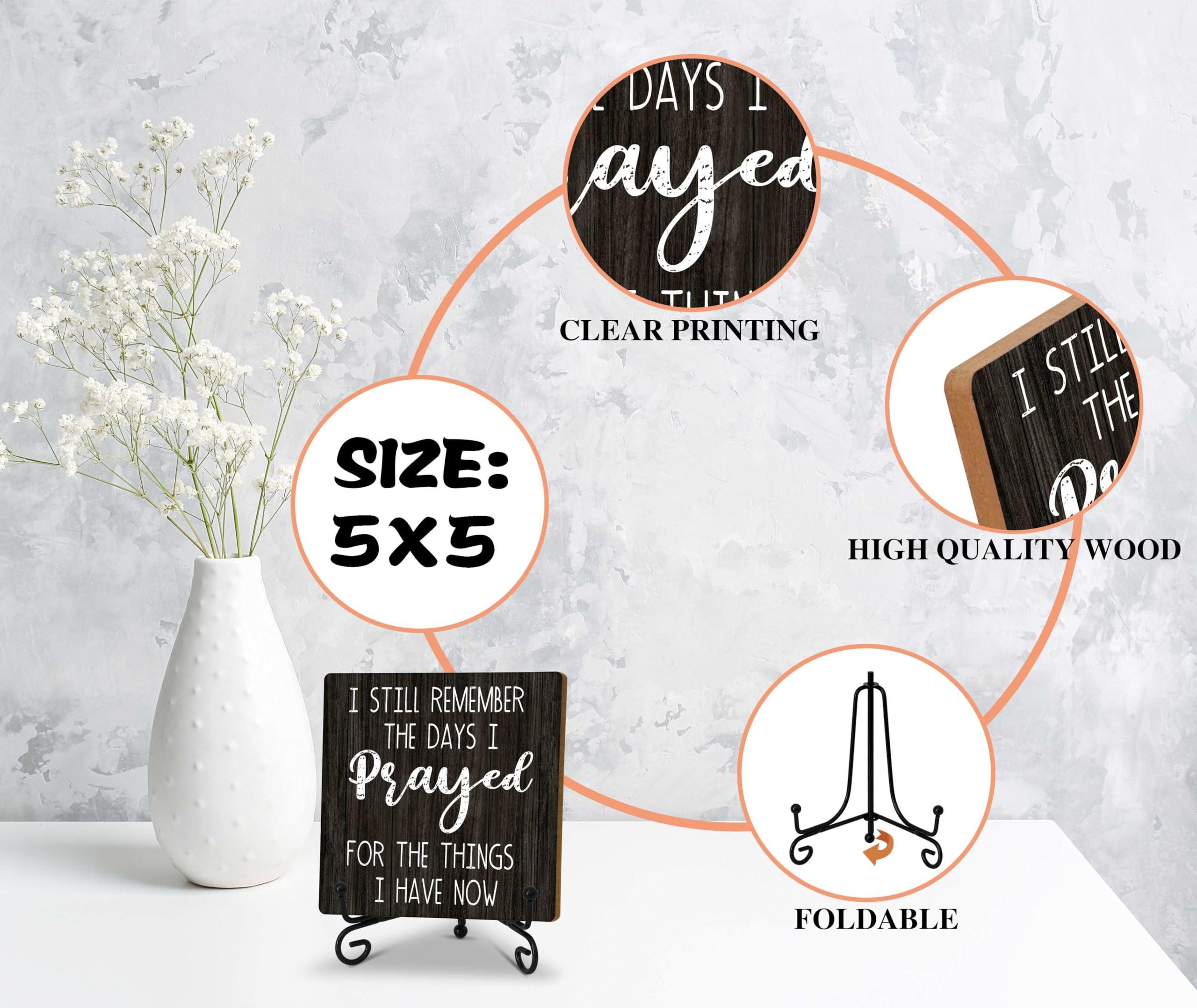 HABITRIO HABITRIO Modern Upholstered Chaise Lounge Indoor,Velvet Lounge Chair for Bedroom with Storage and Pillow,Modern Upholstered Rolled Arm Chase Lounge for Sleeping with Nailhead Trim