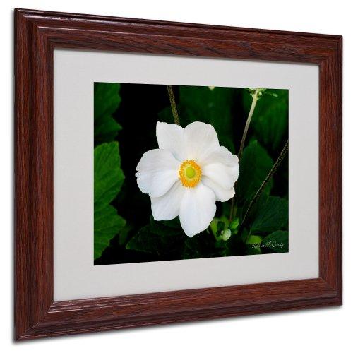 Bulbrite (Pack of 5) Bulbrite 20W T3 KX2000 Frost DC 120V Light Bulb