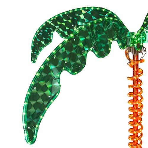 Wintergreen Lighting Deluxe Tropical LED Rope Light Palm Tree with Lighted Holographic Trunk and Fronds (4.5 Foot)