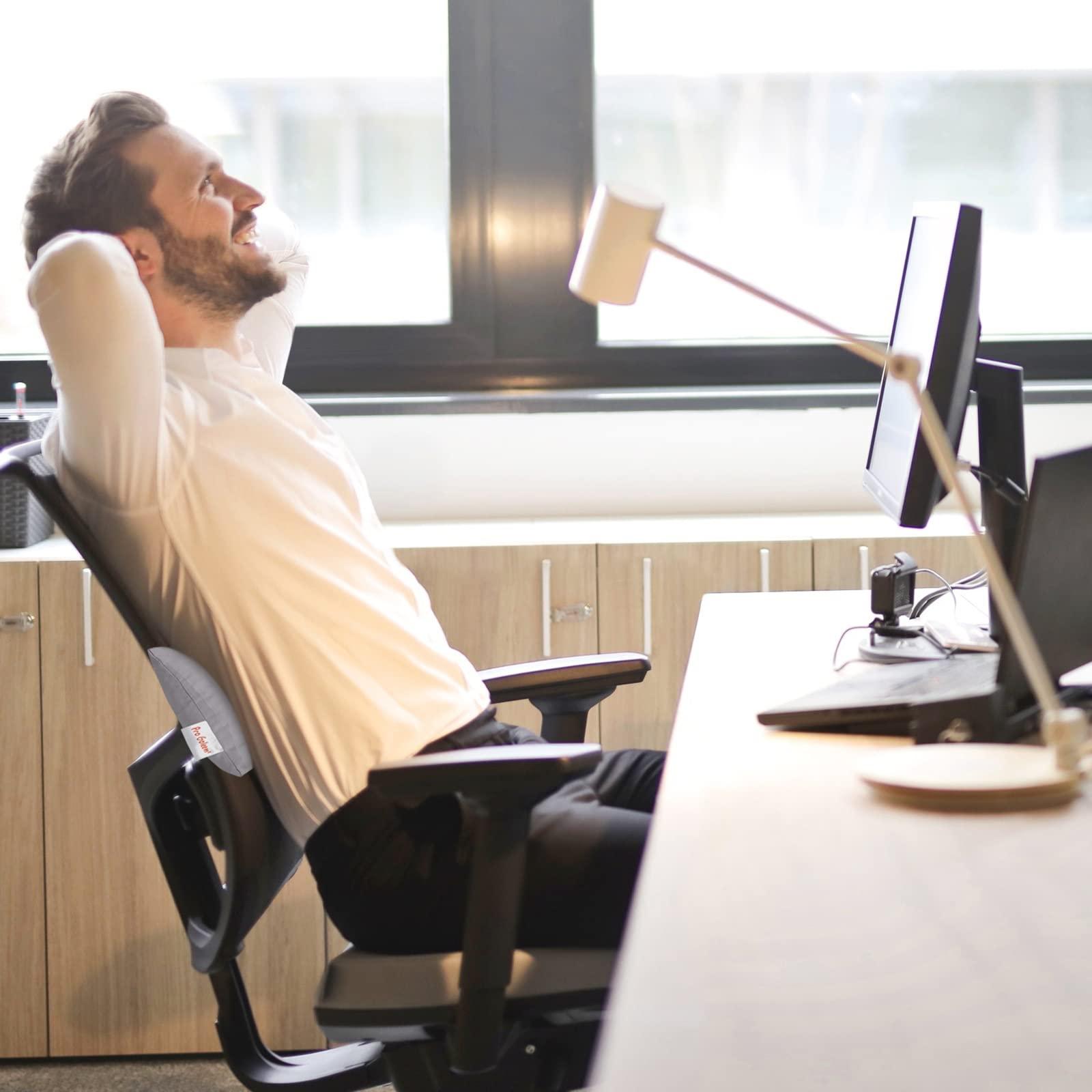 Pro Goleem Pro Goleem Small Pillow 11x6x2.5 Small Pillows for Sleeping and Traveling Mini Pillow with Name Tag Tiny Pillow for Kids Pillow Neck Lumbar Knee Nap Pillow Pet Pillow, Gray