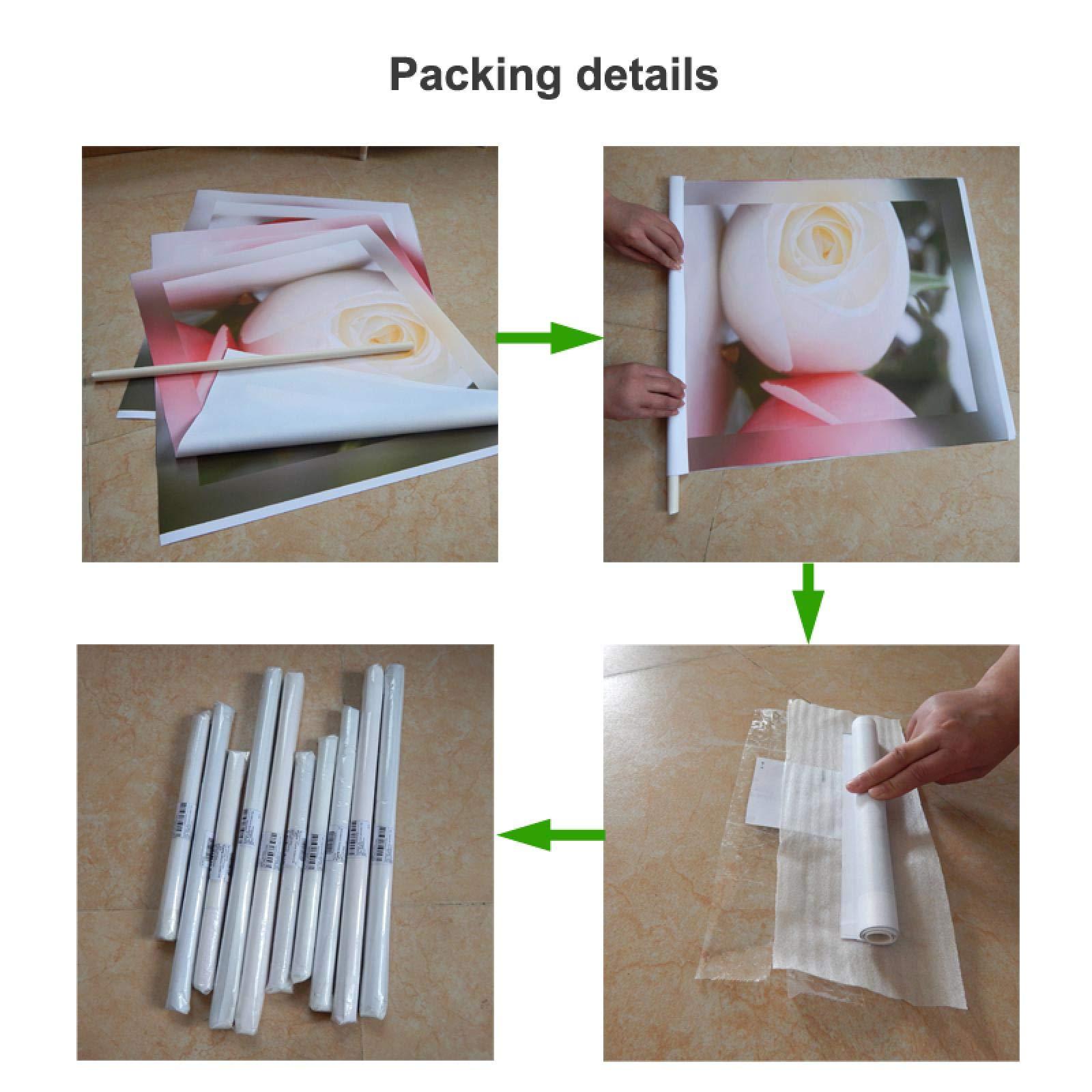 YOUOOK YOUOOK Pictetw Solid and Well Made Wing Corkscrew Wine Opener and Beer Opener, Multifunctional Wine Corkscrew Opener