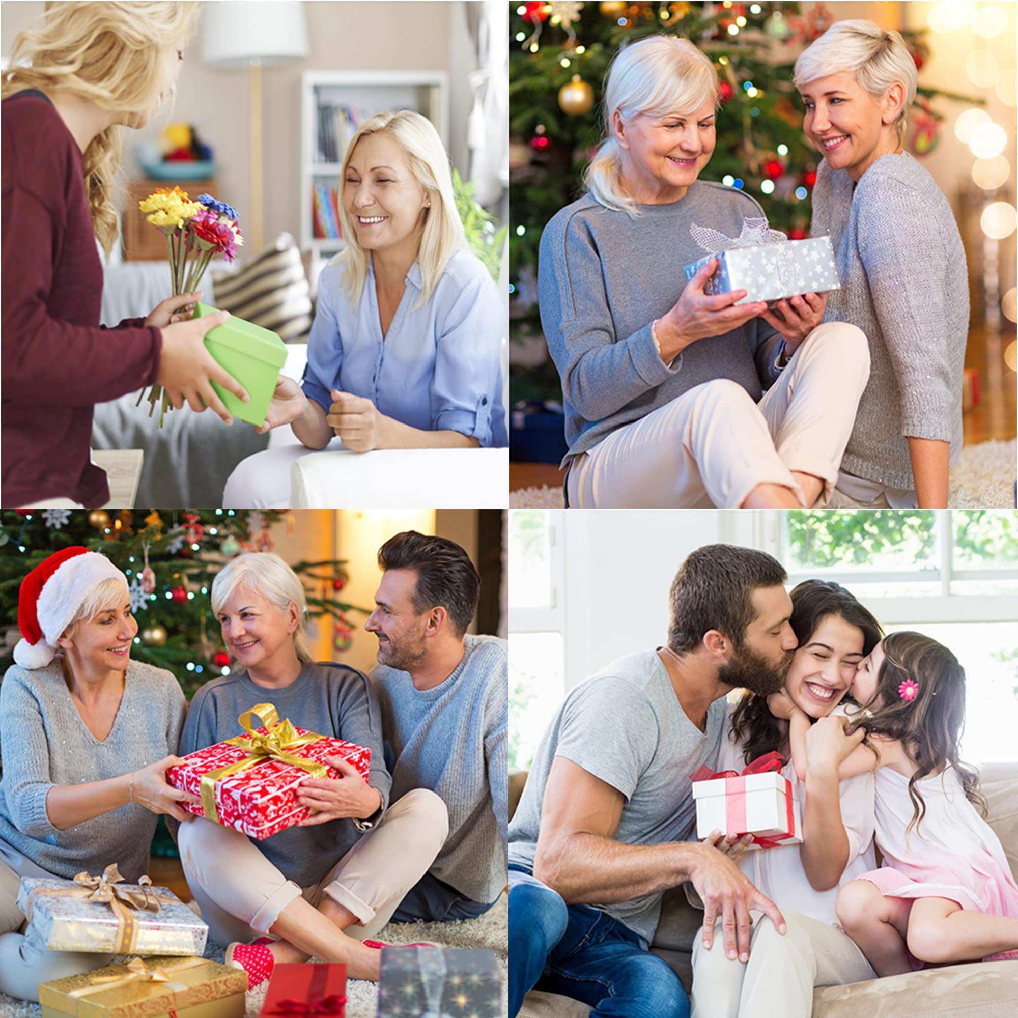 WMF WMF Perfect Plus Quick Cooker Diameter 22 cm Diameter of 6 Litres and a Half with Flame Protection Cromargan Stainless Steel for Induction