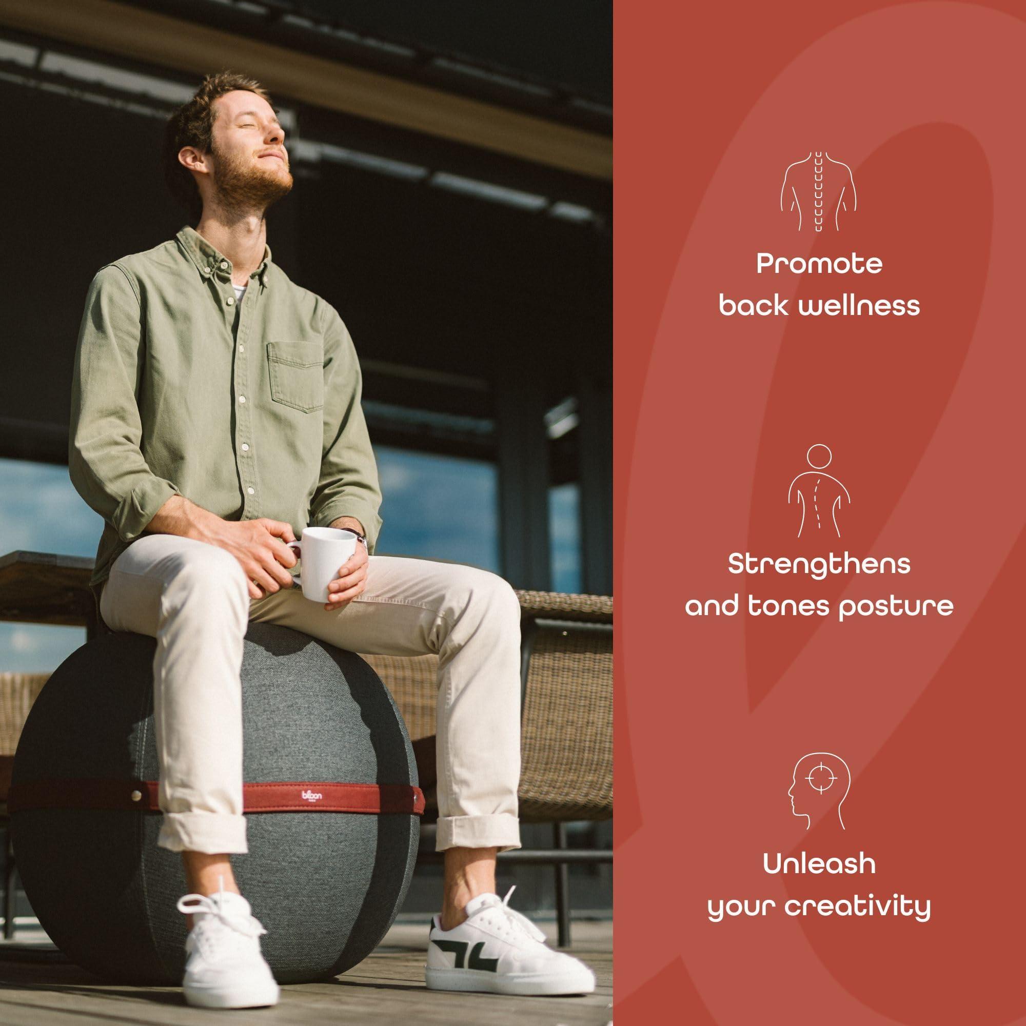 Bloon Paris Bloon Paris Ergonomic Sitting Ball Chair - Premium Desk Chair for Home and Office with Active Seating - Durable & Stylish Balance Ball Chair - Grey Platinium - Regular Size