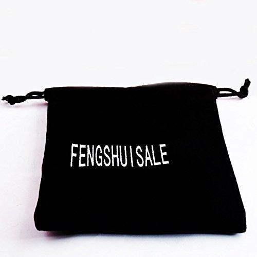 fengshuisale Two Big Fengshui Brass Five Bat Chinese Luck Coin Dia:2.9" I Ching Coins + Gift Bag Y1148