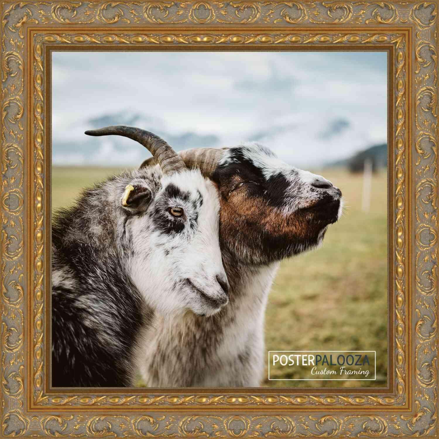 Poster Palooza Poster Palooza 32x32 Frame Gold Ornate Antique Solid Wood Picture Frame | 2 Inch Moulding Width | with UV Acrylic Plexiglass, Foam Board Backing & Hanging Hardware Included